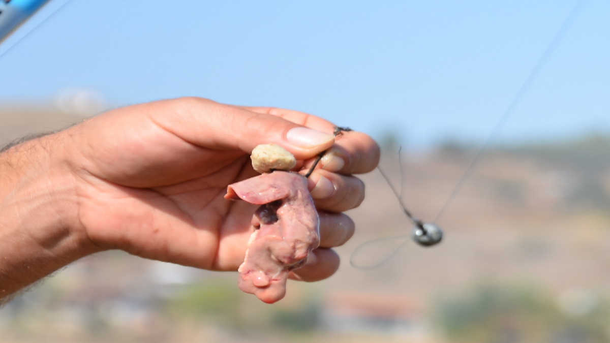 Reduce GUT HOOKING by 99% while TROUT FISHING Dough Baits! (Easy and Fun) 